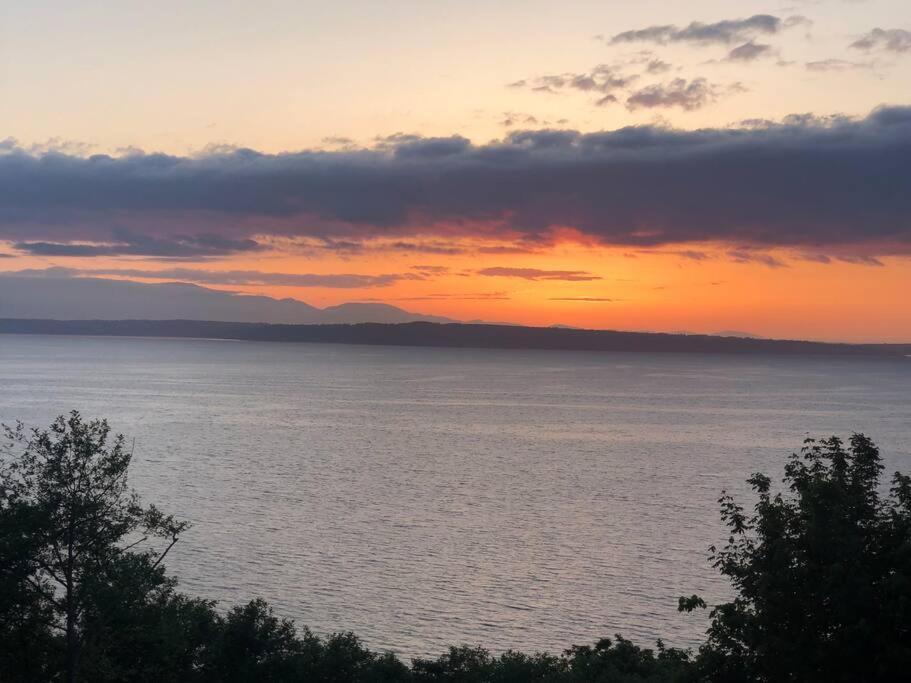 1-Bedroom Seaview Guesthouse On Seattle Luxury Estate With Views Of Olympic Mountains Exteriér fotografie