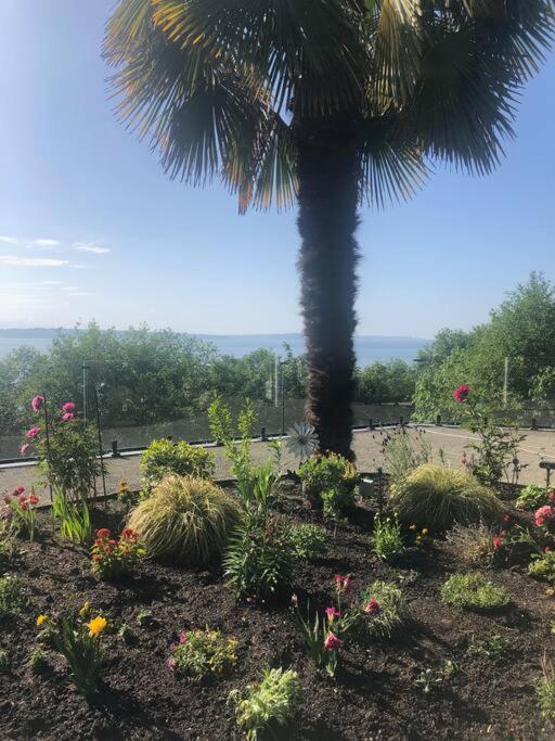 1-Bedroom Seaview Guesthouse On Seattle Luxury Estate With Views Of Olympic Mountains Exteriér fotografie