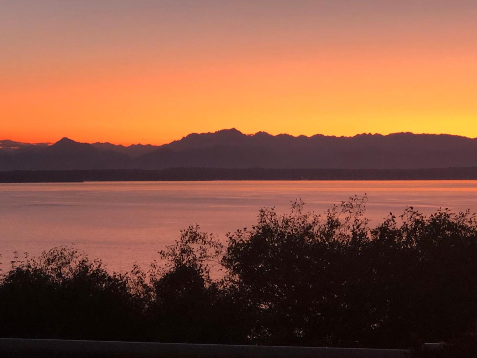1-Bedroom Seaview Guesthouse On Seattle Luxury Estate With Views Of Olympic Mountains Exteriér fotografie